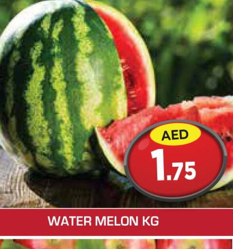  Watermelon  in سنابل بني ياس in الإمارات العربية المتحدة , الامارات - أبو ظبي