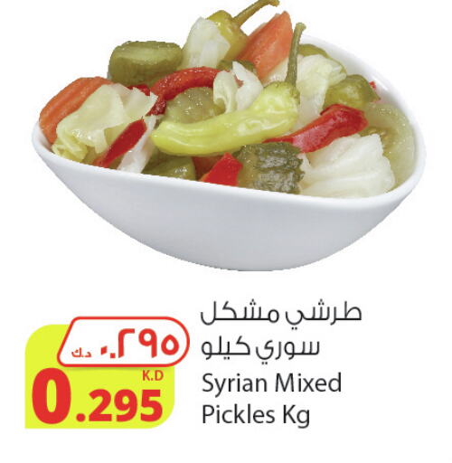  Pickle  in شركة المنتجات الزراعية الغذائية in الكويت - محافظة الجهراء