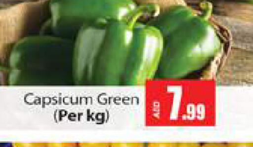  Chilli / Capsicum  in Gulf Hypermarket LLC in UAE - Ras al Khaimah