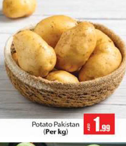  Potato  in Gulf Hypermarket LLC in UAE - Ras al Khaimah