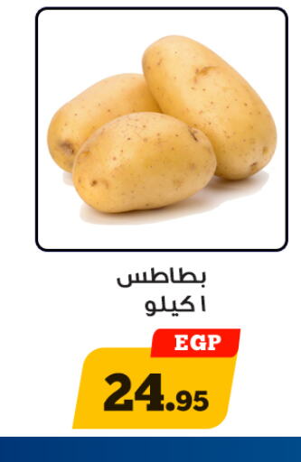  Potato  in أولاد رجب in Egypt - القاهرة