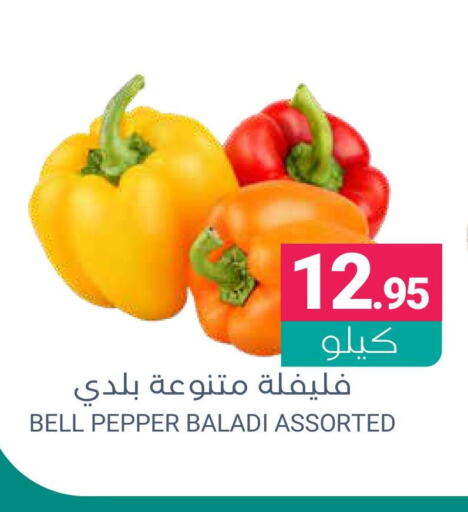  Chilli / Capsicum  in اسواق المنتزه in مملكة العربية السعودية, السعودية, سعودية - القطيف‎