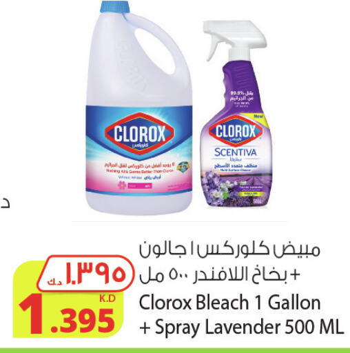 CLOROX