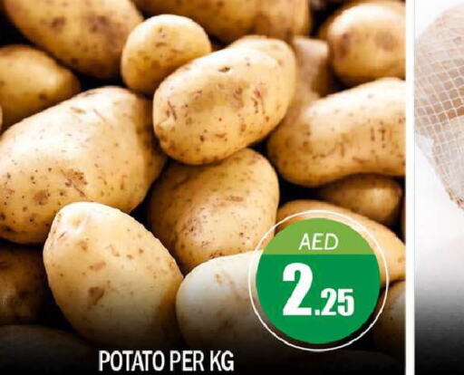  Potato  in بيج مارت in الإمارات العربية المتحدة , الامارات - أبو ظبي