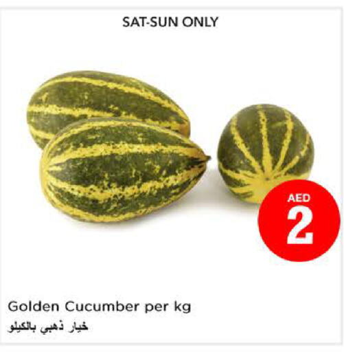  Cucumber  in نستو هايبرماركت in الإمارات العربية المتحدة , الامارات - الشارقة / عجمان