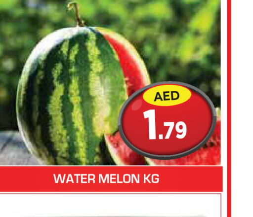  Watermelon  in سنابل بني ياس in الإمارات العربية المتحدة , الامارات - أم القيوين‎