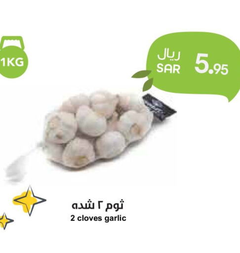  Garlic  in واحة المستهلك in مملكة العربية السعودية, السعودية, سعودية - الخبر‎