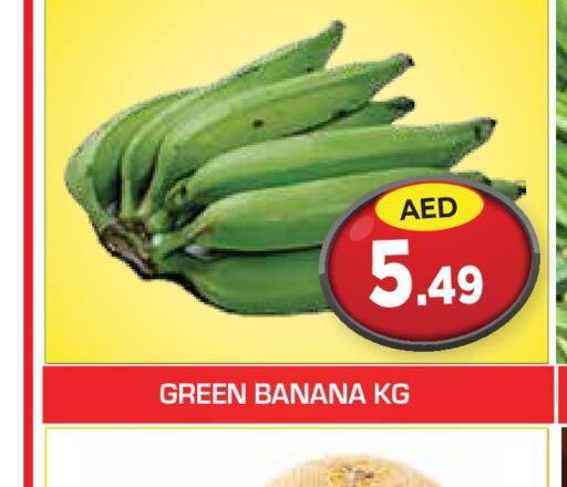  Banana Green  in سنابل بني ياس in الإمارات العربية المتحدة , الامارات - أم القيوين‎