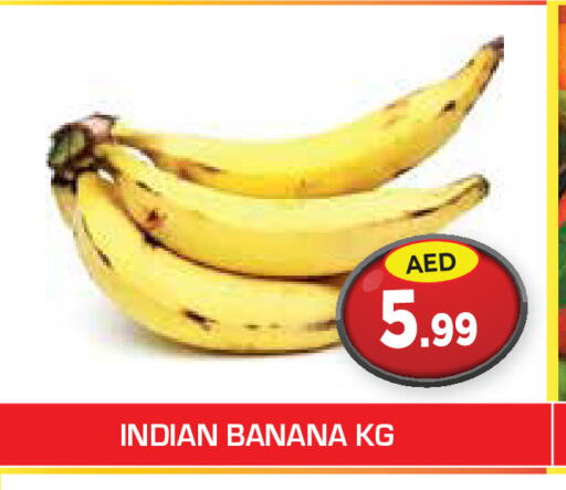  Banana  in سنابل بني ياس in الإمارات العربية المتحدة , الامارات - ٱلْعَيْن‎