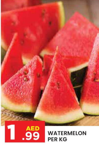  Watermelon  in سنابل بني ياس in الإمارات العربية المتحدة , الامارات - أبو ظبي