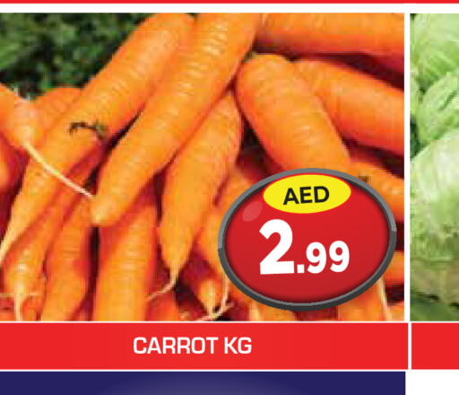  Carrot  in سنابل بني ياس in الإمارات العربية المتحدة , الامارات - أم القيوين‎