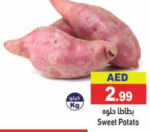  Sweet Potato  in أسواق رامز in الإمارات العربية المتحدة , الامارات - الشارقة / عجمان