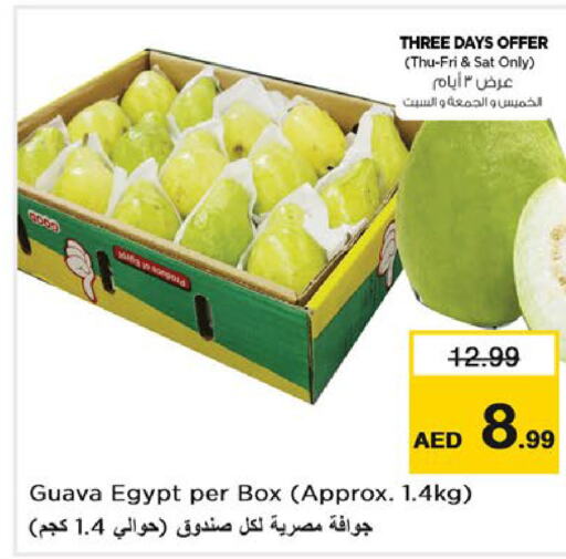  Guava  in لاست تشانس in الإمارات العربية المتحدة , الامارات - ٱلْفُجَيْرَة‎