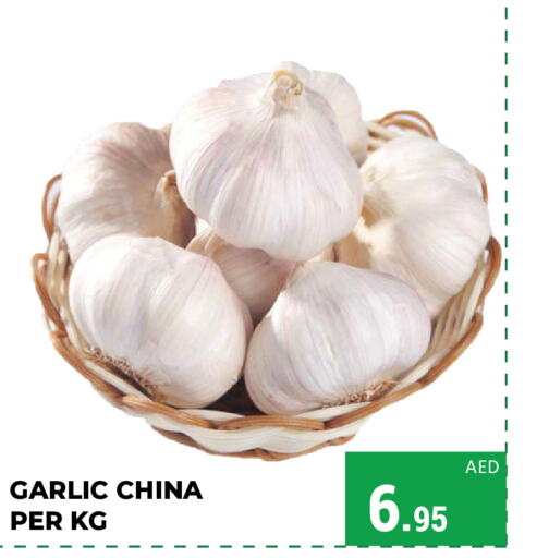 Garlic