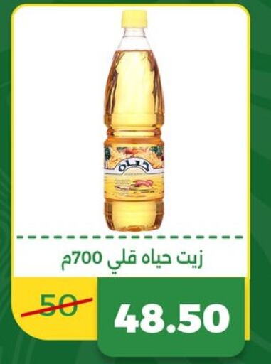 HAYAT   in Green Tree Hypermarket - Sohag in Egypt - Cairo