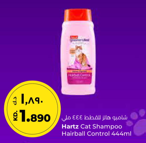 Shampoo