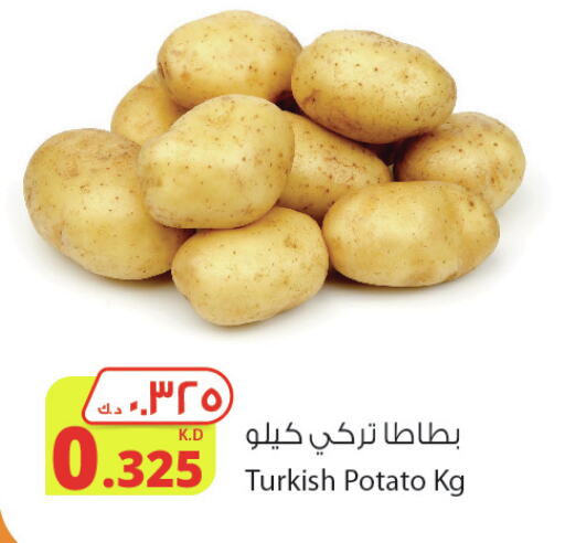  Potato  in شركة المنتجات الزراعية الغذائية in الكويت - محافظة الأحمدي