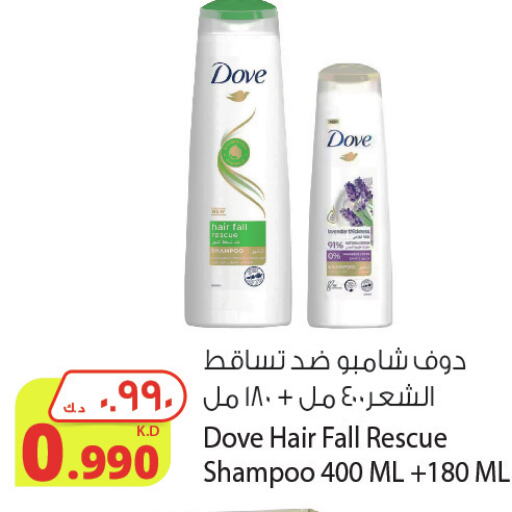 DOVE Shampoo / Conditioner  in Agricultural Food Products Co. in Kuwait - Jahra Governorate