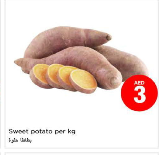  Sweet Potato  in نستو هايبرماركت in الإمارات العربية المتحدة , الامارات - الشارقة / عجمان