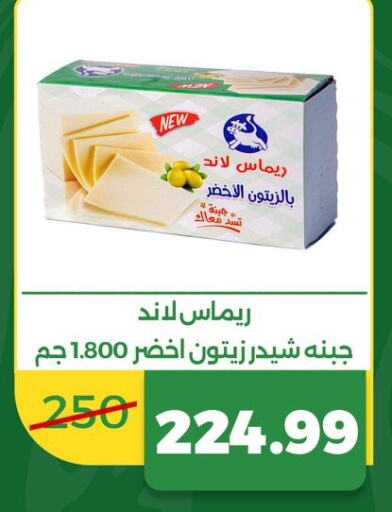  Cheddar Cheese  in Green Tree Hypermarket - Sohag in Egypt - Cairo