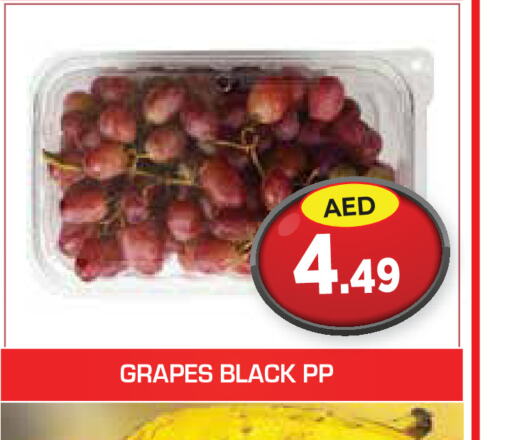  Grapes  in سنابل بني ياس in الإمارات العربية المتحدة , الامارات - أم القيوين‎