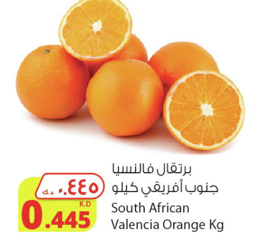  Orange  in شركة المنتجات الزراعية الغذائية in الكويت - محافظة الجهراء