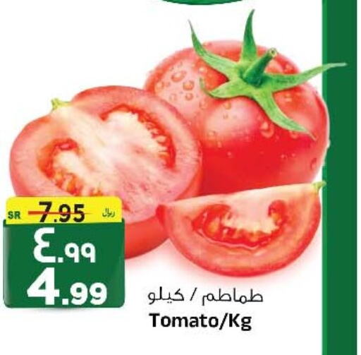  Tomato  in Al Madina Hypermarket in KSA, Saudi Arabia, Saudi - Riyadh