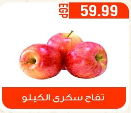  Apples  in أولاد المحاوى in Egypt - القاهرة