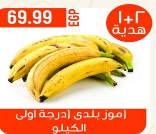  Banana  in El mhallawy Sons in Egypt - Cairo