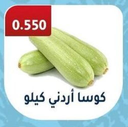  Zucchini  in جمعية فحيحيل التعاونية in الكويت - محافظة الجهراء