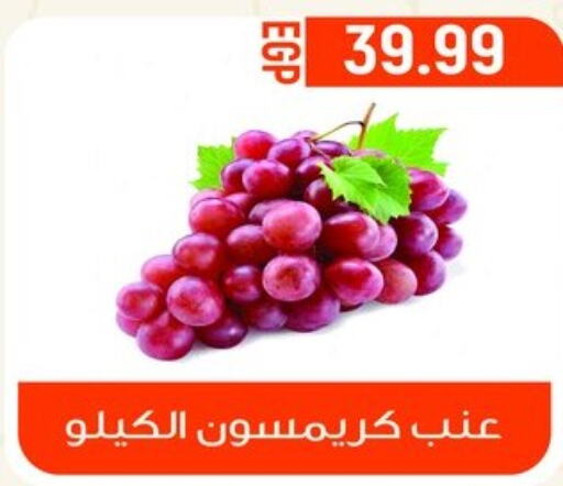  Grapes  in El mhallawy Sons in Egypt - Cairo