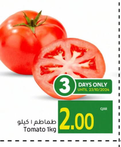  Tomato  in جلف فود سنتر in قطر - الريان