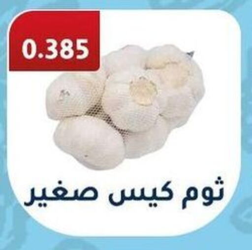  Garlic  in جمعية فحيحيل التعاونية in الكويت - محافظة الجهراء