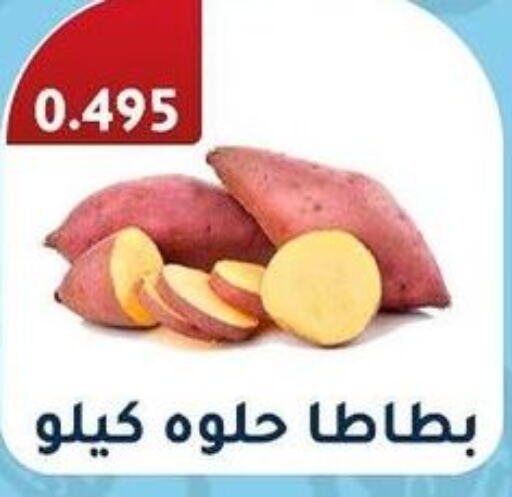  Sweet Potato  in Al Fahaheel Co - Op Society in Kuwait - Jahra Governorate