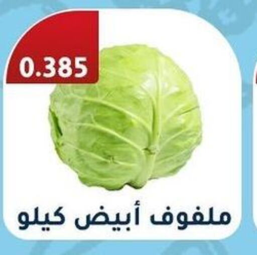  Cabbage  in جمعية فحيحيل التعاونية in الكويت - محافظة الجهراء