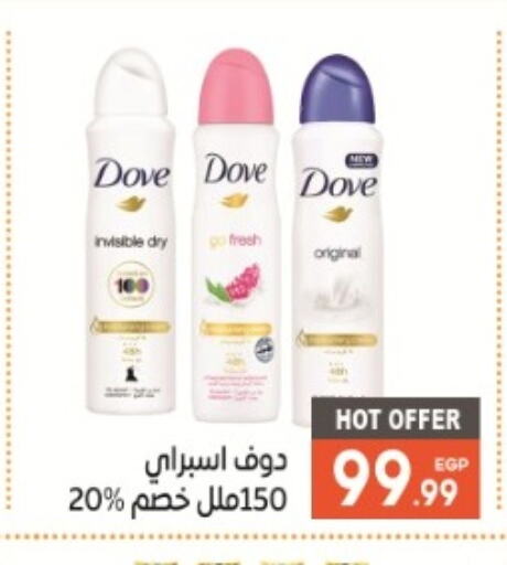 DOVE   in أولاد المحاوى in Egypt - القاهرة