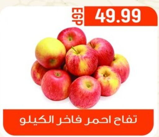  Apples  in أولاد المحاوى in Egypt - القاهرة