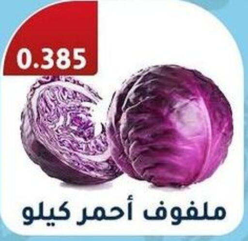  Cabbage  in جمعية فحيحيل التعاونية in الكويت - محافظة الجهراء