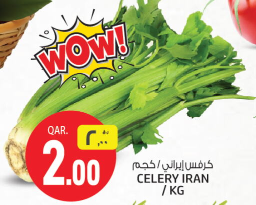  Celery  in السعودية in قطر - الريان