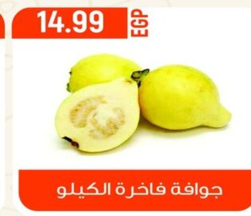  Guava  in El mhallawy Sons in Egypt - Cairo