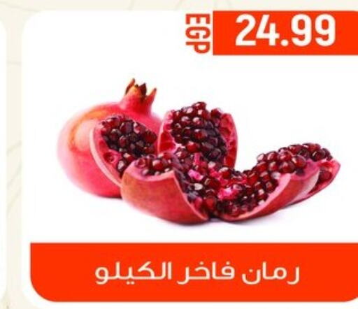  Pomegranate  in أولاد المحاوى in Egypt - القاهرة