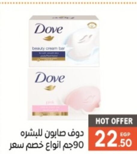 DOVE   in أولاد المحاوى in Egypt - القاهرة