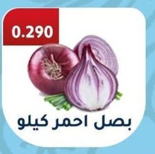  Onion  in جمعية فحيحيل التعاونية in الكويت - محافظة الجهراء