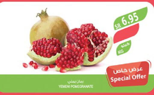 Pomegranate