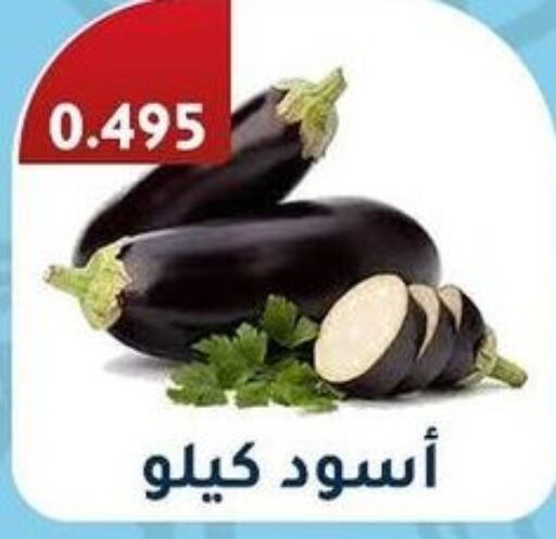    in جمعية فحيحيل التعاونية in الكويت - محافظة الجهراء