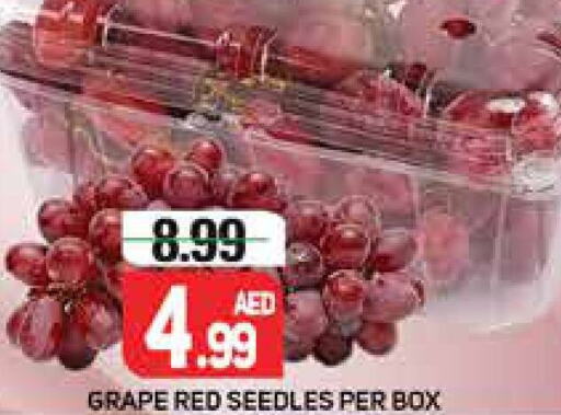  Grapes  in Palm Centre LLC in UAE - Sharjah / Ajman