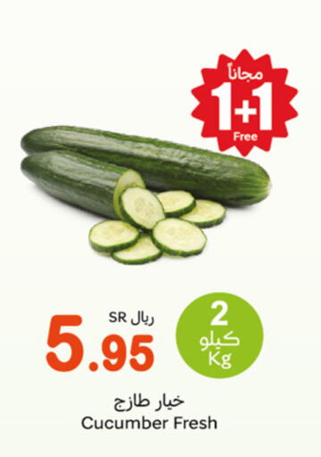  Cucumber  in Othaim Markets in KSA, Saudi Arabia, Saudi - Al Hasa