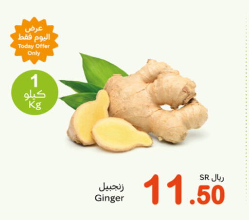  Ginger  in أسواق عبد الله العثيم in مملكة العربية السعودية, السعودية, سعودية - وادي الدواسر