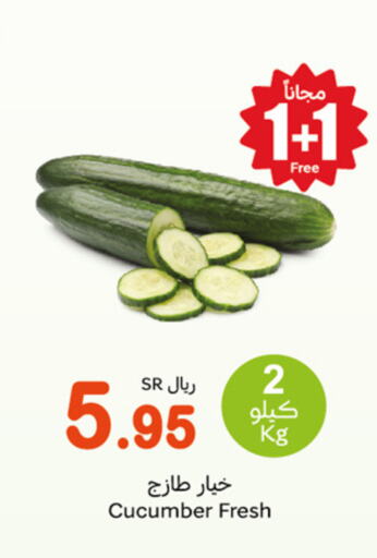  Cucumber  in أسواق عبد الله العثيم in مملكة العربية السعودية, السعودية, سعودية - وادي الدواسر