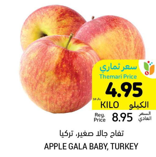  Apples  in أسواق التميمي in مملكة العربية السعودية, السعودية, سعودية - سيهات